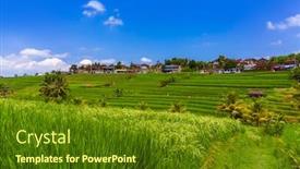  Presentation with rice fields - PPT theme having rice-fields-on-bali-island background and a tawny brown colored foreground