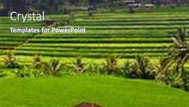  Presentation with rice fields - Theme with rice-fields-on-bali-island background and a ocean colored foreground