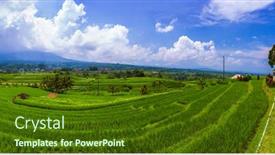  Presentation with bali island typical indonesia - Presentation having rice-fields-on-bali-island background and a tawny brown colored foreground