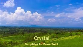  Presentation with rice fields - Audience pleasing PPT layouts consisting of rice-fields-on-bali-island backdrop and a tawny brown colored foreground