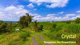  Presentation with rice fields - Audience pleasing PPT theme consisting of ricefield - rice fields on bali island backdrop and a tawny brown colored foreground
