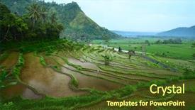  Presentation with organic rice - Amazing presentation having tiling ceramic tile floor adhesive backdrop and a  colored foreground.