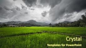  Presentation with organic rice - PPT theme having rice fields on the island background and a tawny brown colored foreground