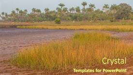  Presentation with rice fields - PPT theme having rice-fields-outside-bissau background and a tawny brown colored foreground