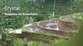  Presentation with rice fields - PPT layouts featuring rice-fields-prepared-for-rice background and a ocean colored foreground