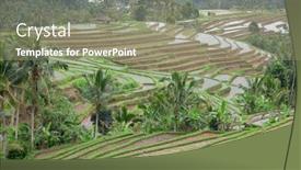  Presentation with rice fields - Slide deck consisting of rice-fields-prepared-for-rice background and a gray colored foreground