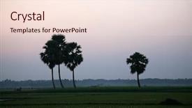  Presentation with rice fields - Audience pleasing PPT layouts consisting of rice fields sundarbans west bengal backdrop and a lemonade colored foreground