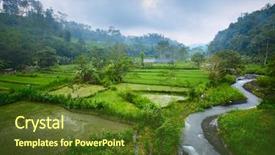  Presentation with rice field - Colorful slide set enhanced with rice fields with river backdrop and a tawny brown colored foreground