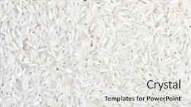  Presentation with rise - Beautiful PPT theme featuring rice grain - white long rise backdrop and a white colored foreground