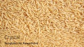 Presentation with rice grains - Presentation consisting of rice-grains-arranged-as-background background and a yellow colored foreground