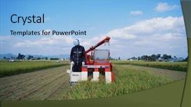  Presentation with crop - Amazing slide deck having rice harvesting - crop backdrop and a  colored foreground