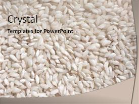Rice Medium Grained Rice Grown PPT template 35 | CrystalGraphics