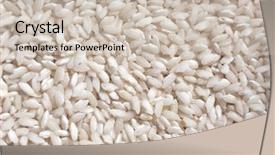  Presentation with grown - PPT layouts with rice medium grained rice grown background and a soft green colored foreground