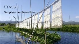  Presentation with noodle - 