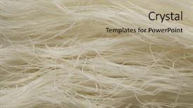  Presentation with noodles - Slide set consisting of rice noodles close up full background and a mint green colored foreground