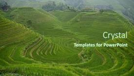  Presentation with rice paddy - 