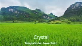  Presentation with paddy field - Theme having rice paddy field background and a tawny brown colored foreground