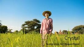  Presentation with farm - Slide deck enhanced with rice straw - portrait of a young asian background and a gold colored foreground