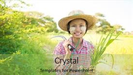  Presentation with powdered - Colorful PPT theme enhanced with rice straw - portrait of a young burmese backdrop and a  colored foreground