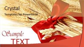 Presentation with red black and white - Cool new PPT theme with rice straw - spikes of wheat tied backdrop and a yellow colored foreground
