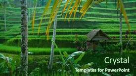  Presentation with indonesia - Amazing presentation theme having rice-tarrace-on-bali-indonesia backdrop and a  colored foreground