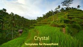  Presentation with bali - 