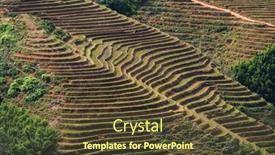  Presentation with vietnam - Presentation enhanced with rice-terrace-in-sapa-vietnam and a tawny brown colored foreground