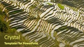  Presentation with rice terraces - Beautiful theme featuring rice terraces background backdrop and a tawny brown colored foreground