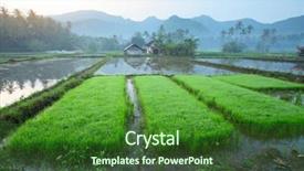  Presentation with rice terraces - Slides enhanced with rice terraces full of water background and a forest green colored foreground