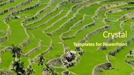  Presentation with old philippines - Beautiful slides featuring rice terraces ifugao province philippines backdrop and a tawny brown colored foreground