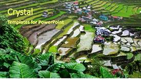  Presentation with philippines culture rice terraces - Slide set featuring rice terraces in the philippines background and a tawny brown colored foreground