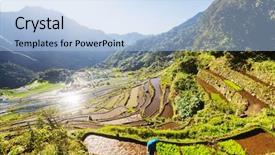  Presentation with philippines culture rice terraces - Presentation theme having rice terraces in the philippines background and a light blue colored foreground