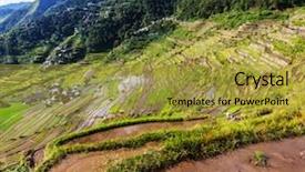  Presentation with philippines culture rice terraces - PPT theme having rice terraces in the philippines background and a  colored foreground