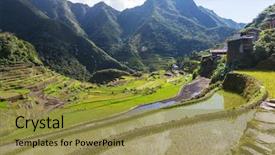  Presentation with philippines culture rice terraces - PPT theme consisting of rice terraces in the philippines background and a  colored foreground