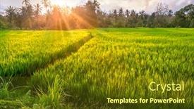  Presentation with rice terraces - Amazing presentation design having rice-terraces-in-ubud-surroundings backdrop and a tawny brown colored foreground