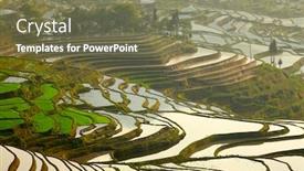  Presentation with rice terraces - Colorful PPT theme enhanced with rice terraces yunnan china backdrop and a violet colored foreground