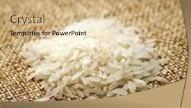  Presentation with rice - Audience pleasing slide set consisting of rice backdrop and a coral colored foreground