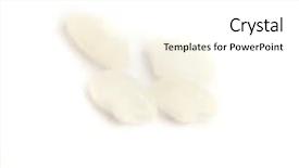  Presentation with rice grain - Colorful PPT theme enhanced with rice backdrop and a  colored foreground