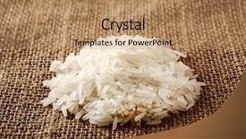  Presentation with rice plant - PPT theme consisting of rice background and a  colored foreground