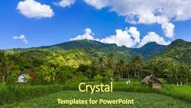  Presentation with bali - Presentation theme with ricefield - fields on bali island indonesia background and a tawny brown colored foreground