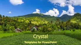  Presentation with bali island typical indonesia - Slide set with ricefield - fields on bali island indonesia background and a  colored foreground