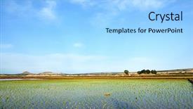  Presentation with paddy field - Colorful slides enhanced with ricefield - freshly transplanted paddy field backdrop and a light blue colored foreground