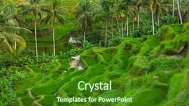  Presentation with rice fields - Beautiful slide deck featuring ricefield - rice fields jatiluwih on bali backdrop and a forest green colored foreground