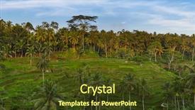  Presentation with rice fields - PPT theme featuring ricefield - rice fields jatiluwih on bali background and a tawny brown colored foreground