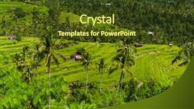  Presentation with rice fields - Cool new presentation theme with ricefield - rice fields on bali island backdrop and a  colored foreground