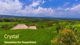  Presentation with rice fields - Presentation having ricefield - rice fields on bali island background and a  colored foreground
