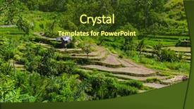  Presentation with rice fields - Theme having ricefield - rice fields on bali island background and a  colored foreground