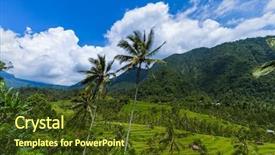  Presentation with rice fields - Amazing presentation theme having ricefield - rice fields on bali island backdrop and a  colored foreground