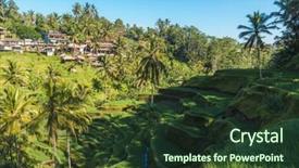  Presentation with rice terraces - Audience pleasing slide deck consisting of ricefield - tegallalang rice terraces of bali backdrop and a tawny brown colored foreground
