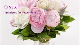  Presentation with rich - Slide deck consisting of rich bunch of peonies background and a lemonade colored foreground